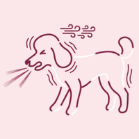 Sneezing fits