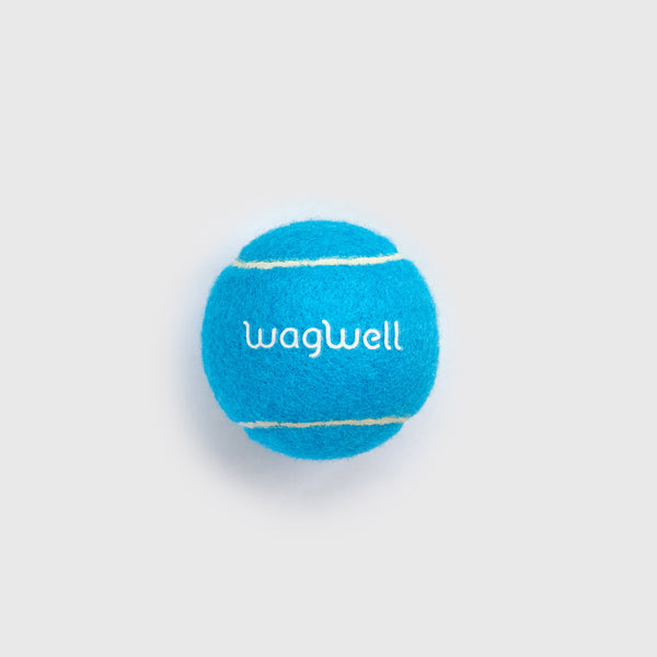 FREE Tennis Ball Dog Toy