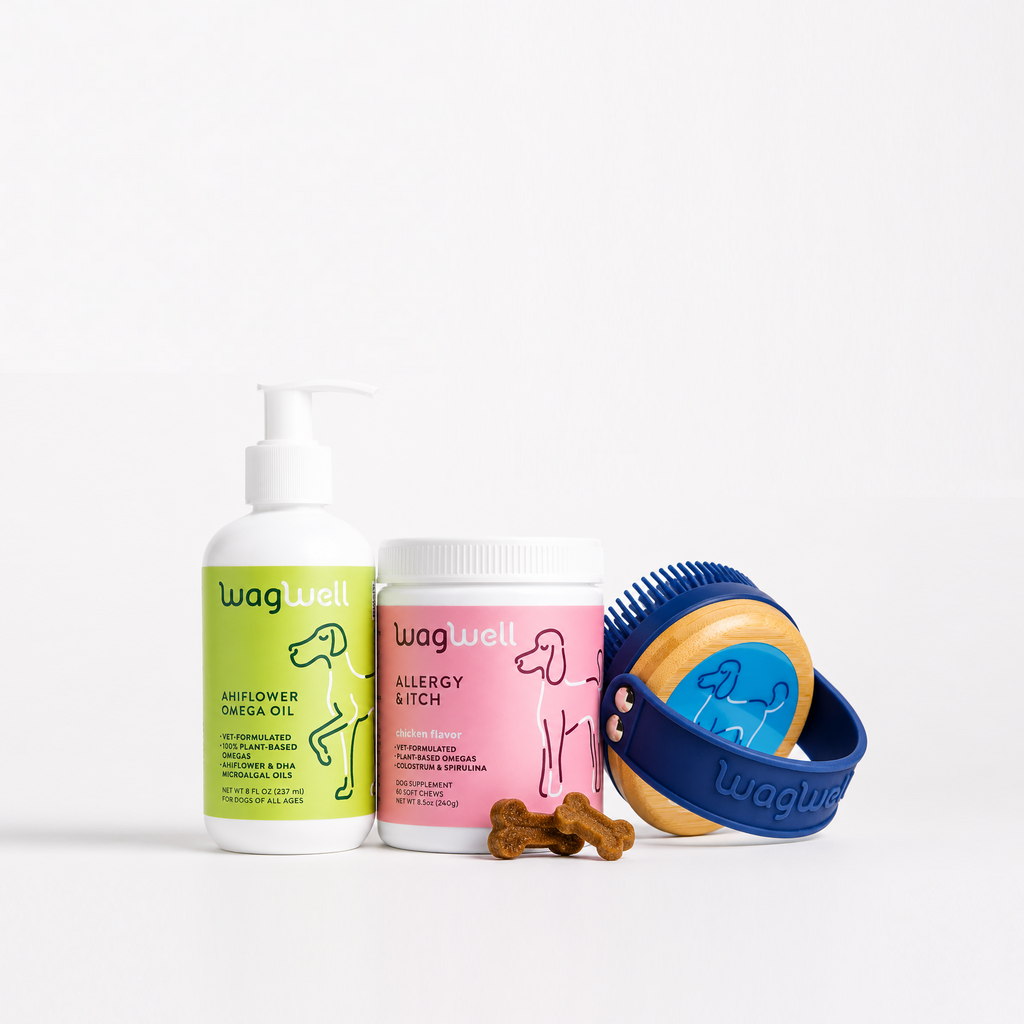 Summer Essentials Bundle